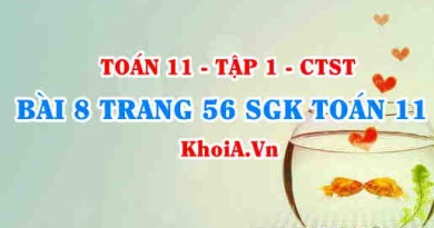 Bài 8 trang 56 SGK Toán 11 Tập 1 Chân trời sáng tạo